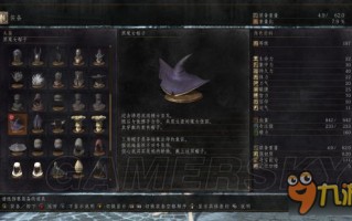  黑暗之魂2装备图鉴,火炬之光2狂战士哪个流派厉害？